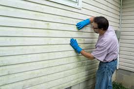 Best Insulated Siding Installation  in West Perrine, FL